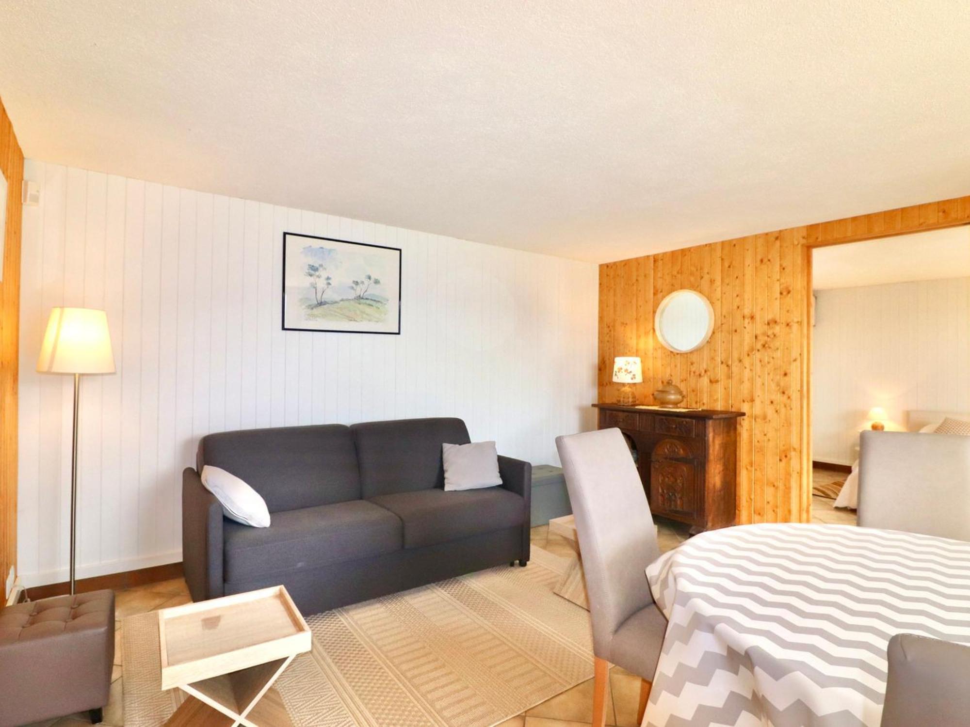 Appartement Confortable Avec Terrasse Et Wifi - Fr-1-432-32 阿讷西 外观 照片